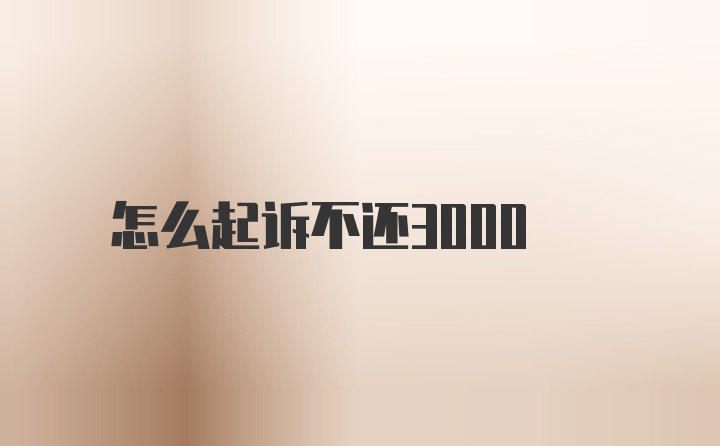 怎么起诉不还3000