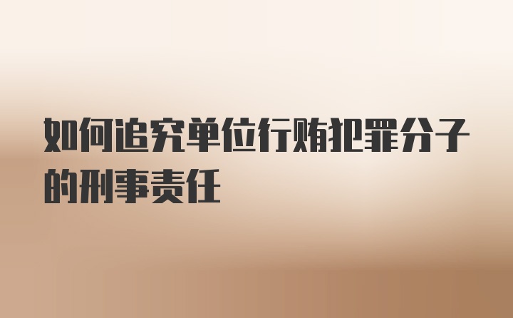 如何追究单位行贿犯罪分子的刑事责任