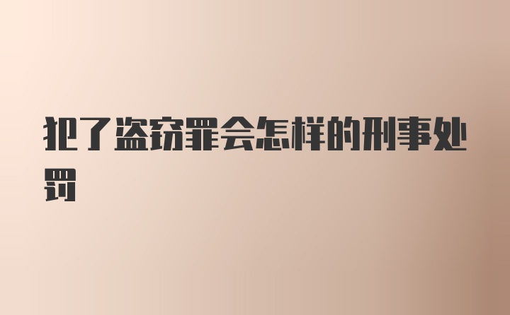 犯了盗窃罪会怎样的刑事处罚