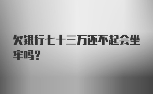 欠银行七十三万还不起会坐牢吗？