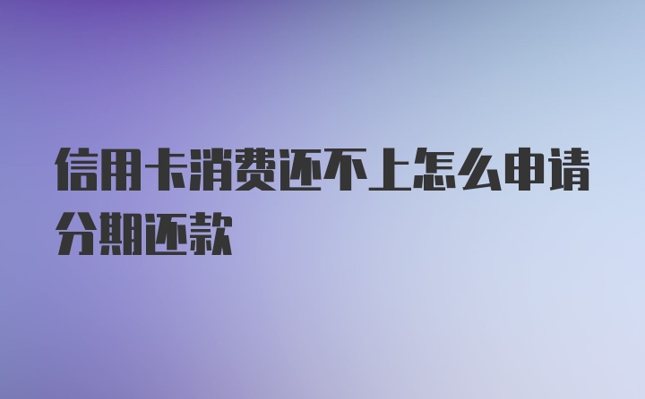 信用卡消费还不上怎么申请分期还款