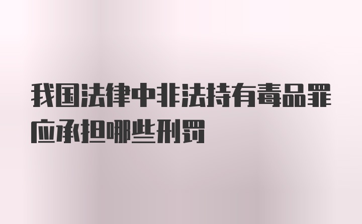 我国法律中非法持有毒品罪应承担哪些刑罚