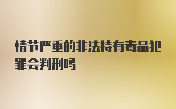 情节严重的非法持有毒品犯罪会判刑吗