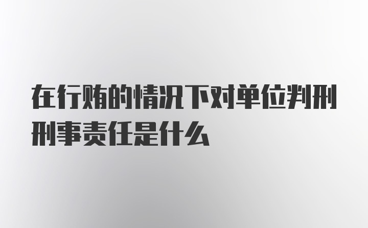 在行贿的情况下对单位判刑刑事责任是什么