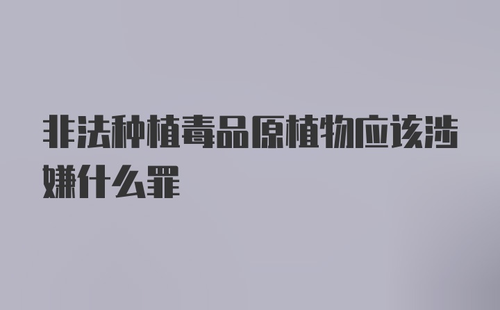 非法种植毒品原植物应该涉嫌什么罪