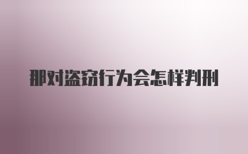 那对盗窃行为会怎样判刑