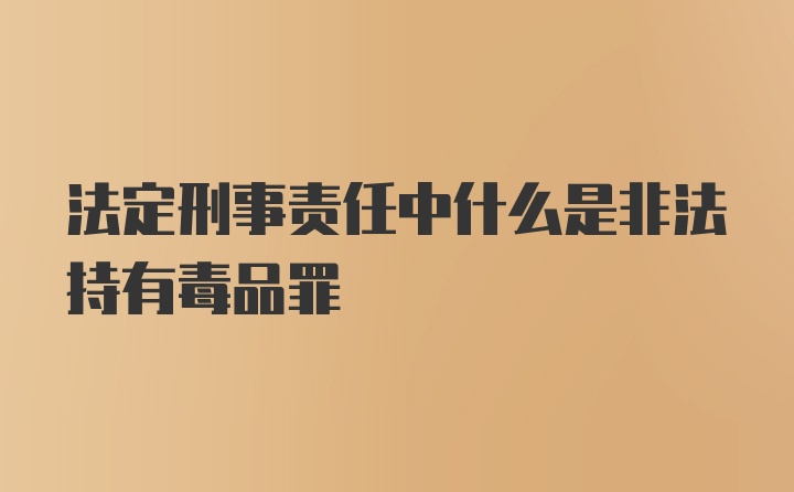 法定刑事责任中什么是非法持有毒品罪