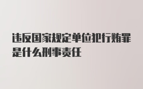 违反国家规定单位犯行贿罪是什么刑事责任