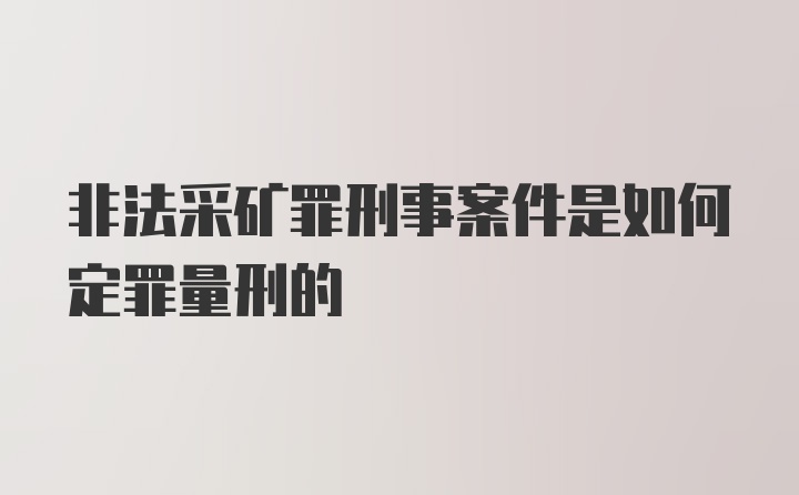 非法采矿罪刑事案件是如何定罪量刑的