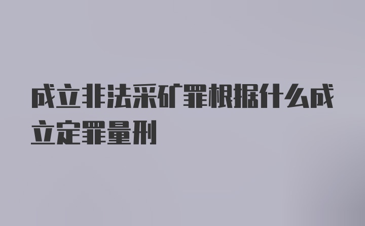 成立非法采矿罪根据什么成立定罪量刑