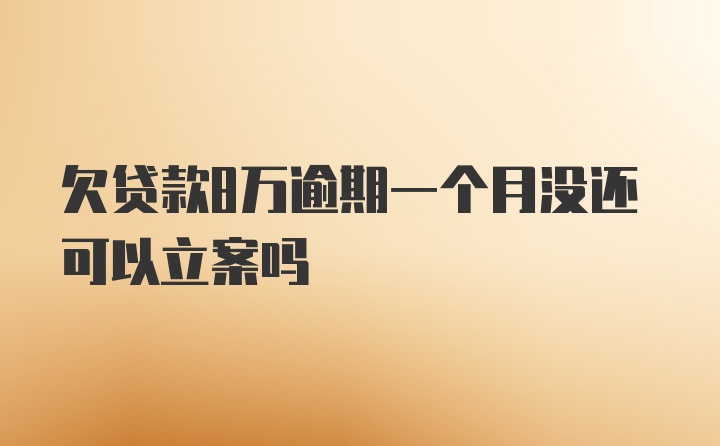 欠贷款8万逾期一个月没还可以立案吗