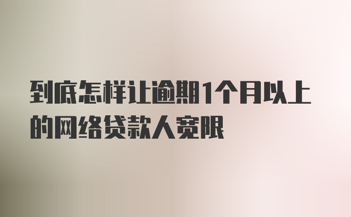 到底怎样让逾期1个月以上的网络贷款人宽限