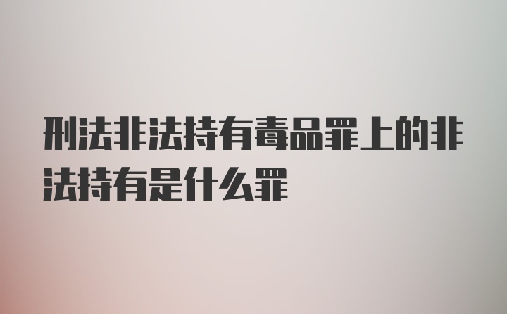 刑法非法持有毒品罪上的非法持有是什么罪