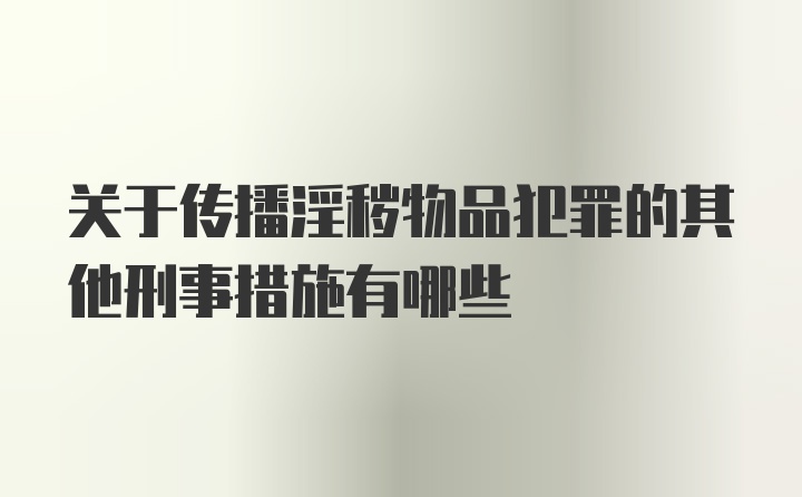 关于传播淫秽物品犯罪的其他刑事措施有哪些