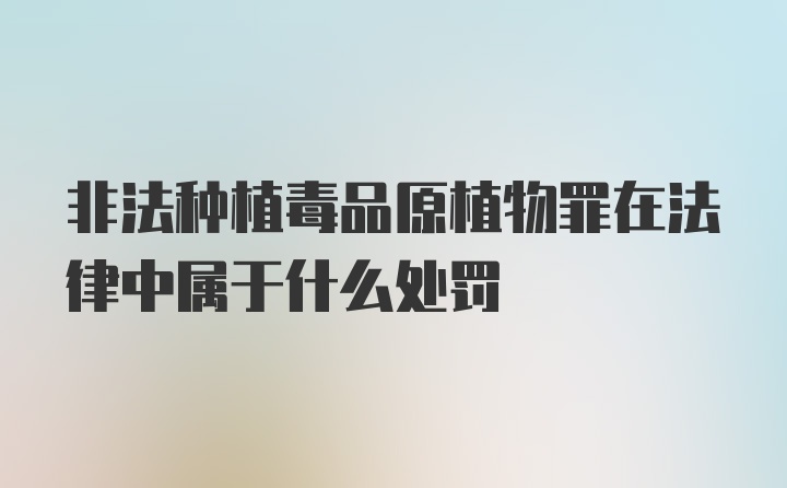 非法种植毒品原植物罪在法律中属于什么处罚