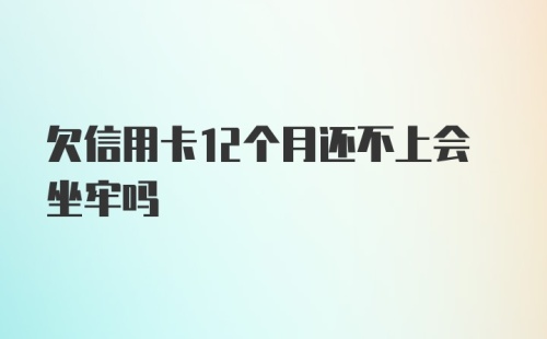 欠信用卡12个月还不上会坐牢吗