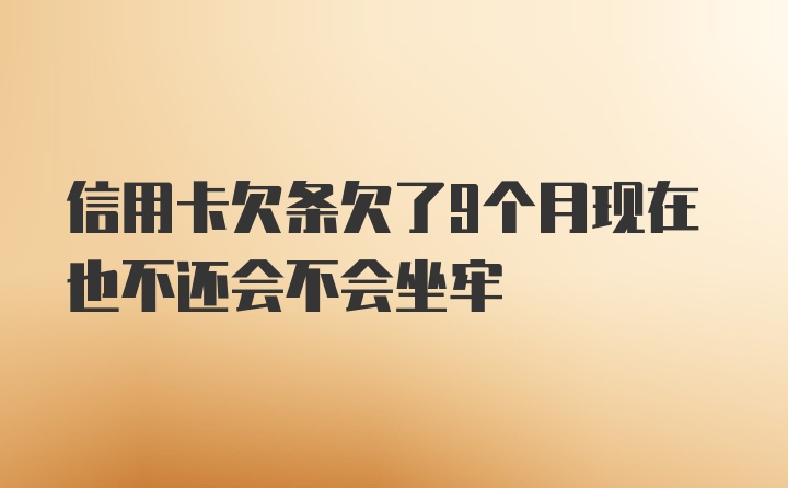 信用卡欠条欠了9个月现在也不还会不会坐牢