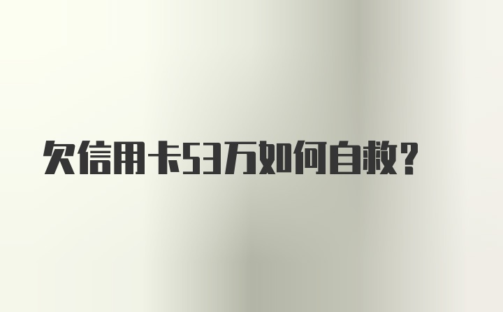 欠信用卡53万如何自救？