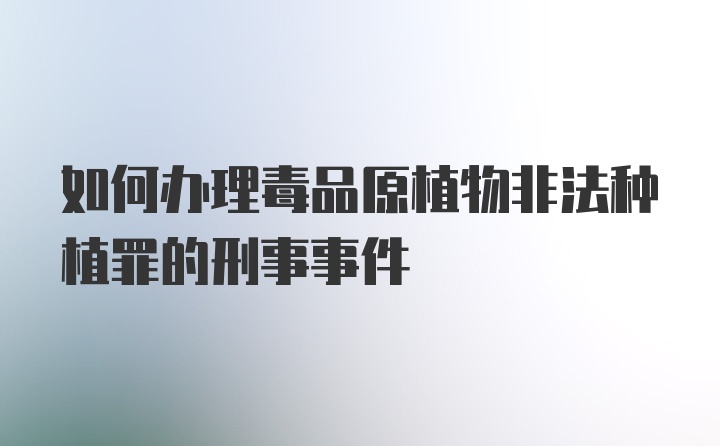 如何办理毒品原植物非法种植罪的刑事事件