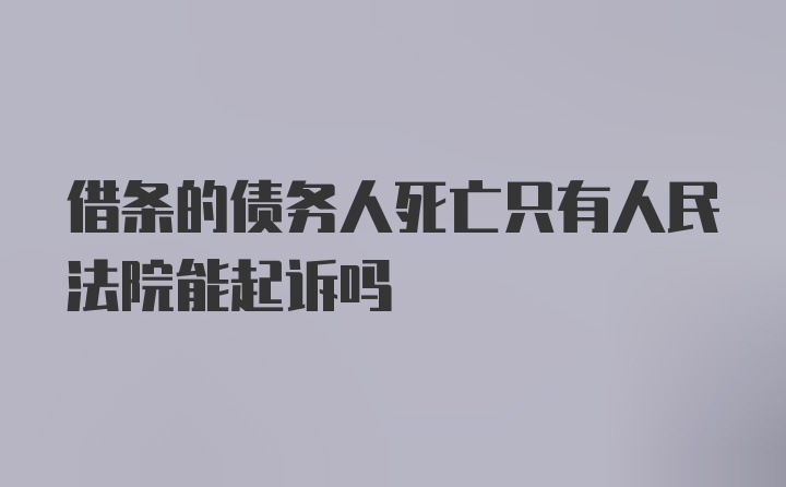 借条的债务人死亡只有人民法院能起诉吗