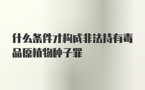 什么条件才构成非法持有毒品原植物种子罪