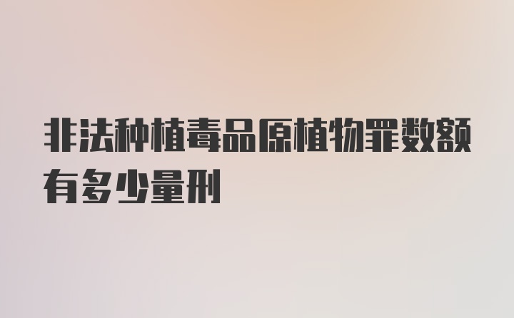 非法种植毒品原植物罪数额有多少量刑