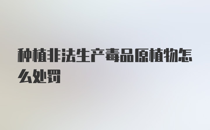 种植非法生产毒品原植物怎么处罚