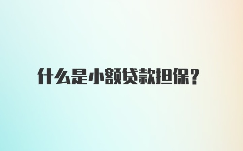 什么是小额贷款担保？