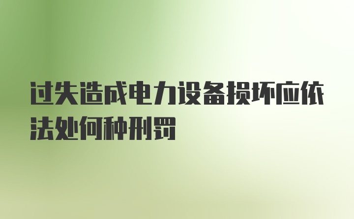 过失造成电力设备损坏应依法处何种刑罚