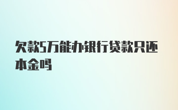 欠款5万能办银行贷款只还本金吗