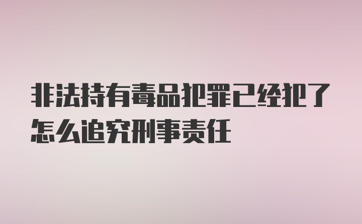 非法持有毒品犯罪已经犯了怎么追究刑事责任