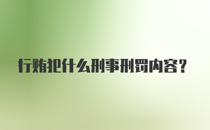 行贿犯什么刑事刑罚内容？