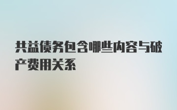 共益债务包含哪些内容与破产费用关系