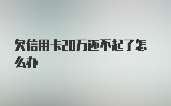 欠信用卡20万还不起了怎么办