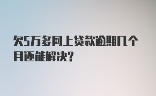 欠5万多网上贷款逾期几个月还能解决？