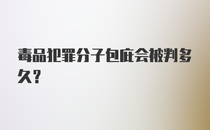 毒品犯罪分子包庇会被判多久？