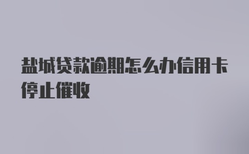 盐城贷款逾期怎么办信用卡停止催收