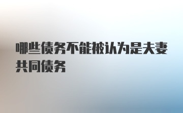 哪些债务不能被认为是夫妻共同债务