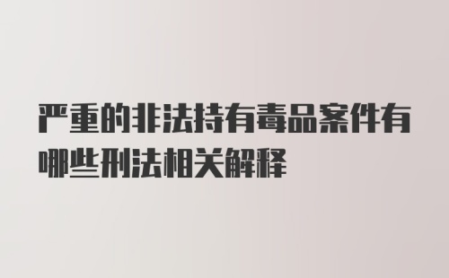 严重的非法持有毒品案件有哪些刑法相关解释