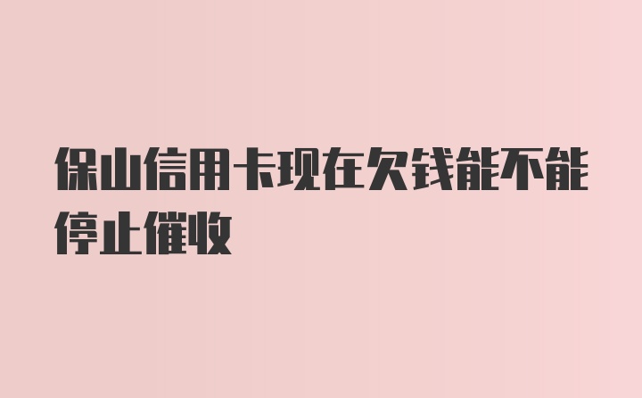 保山信用卡现在欠钱能不能停止催收