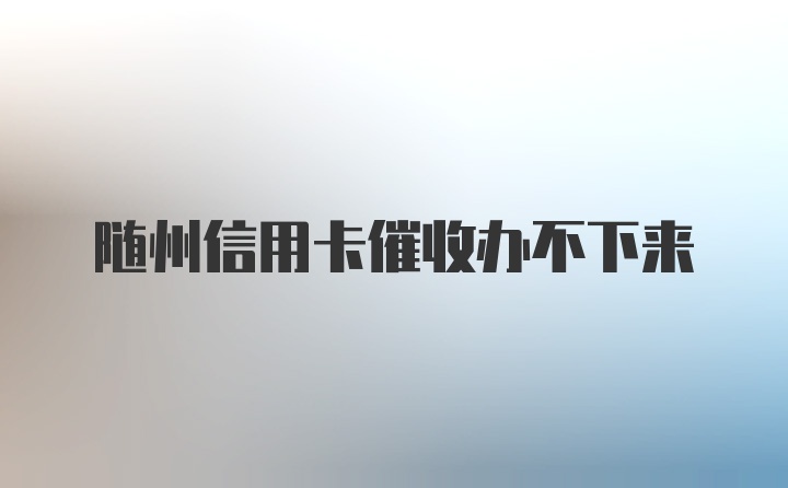 随州信用卡催收办不下来