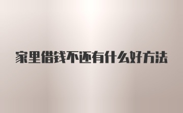 家里借钱不还有什么好方法