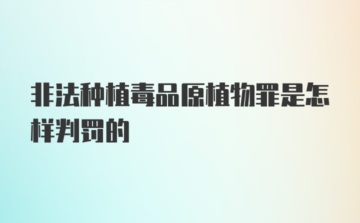 非法种植毒品原植物罪是怎样判罚的