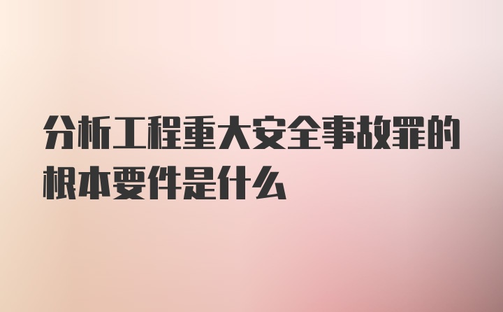 分析工程重大安全事故罪的根本要件是什么