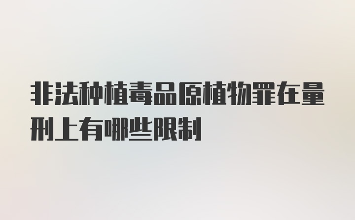 非法种植毒品原植物罪在量刑上有哪些限制