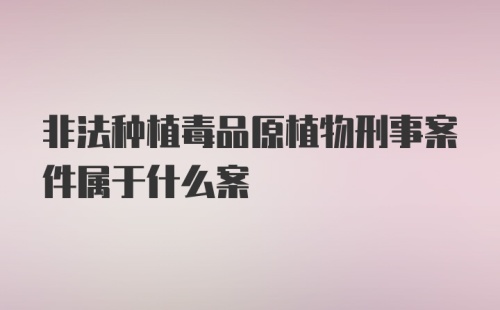 非法种植毒品原植物刑事案件属于什么案