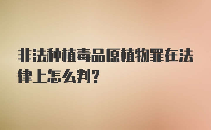 非法种植毒品原植物罪在法律上怎么判？