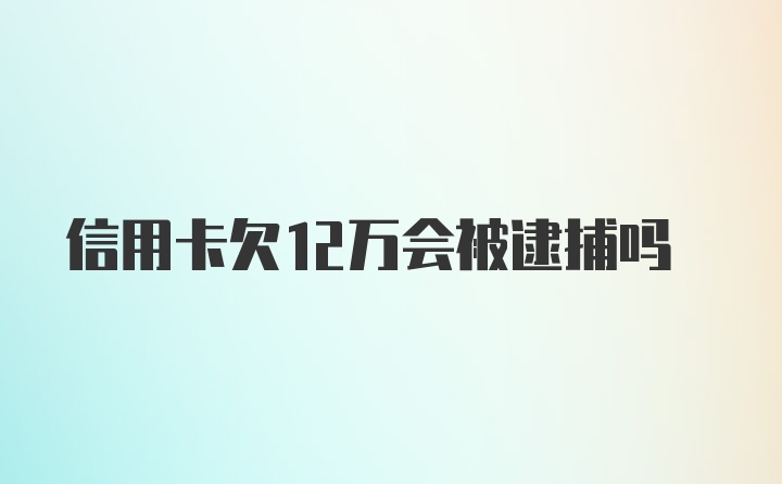 信用卡欠12万会被逮捕吗