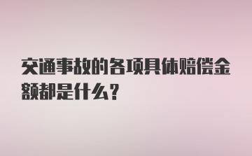 交通事故的各项具体赔偿金额都是什么？