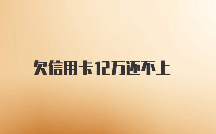 欠信用卡12万还不上